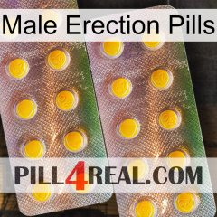 Male Erection Pills new10